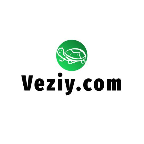 Veziy Logo